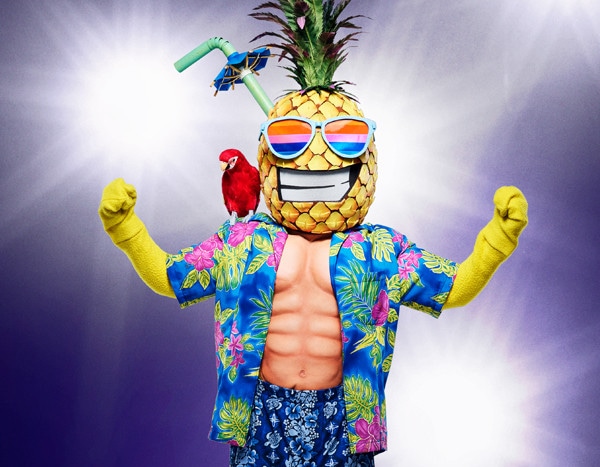 Why Tommy Chong Calls The Masked Singer an Actor's